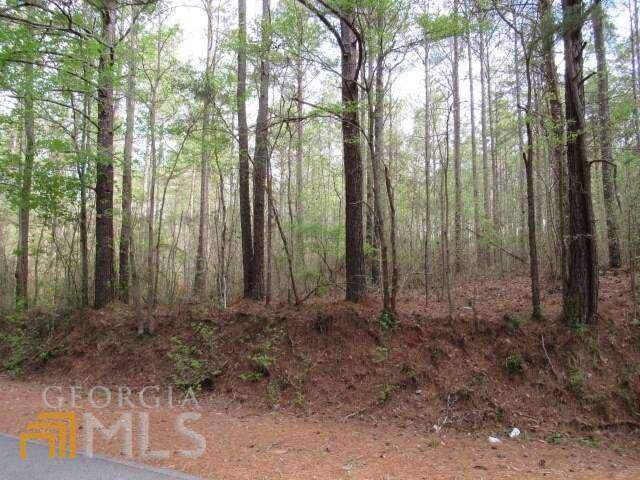 Bowdon, GA 30108,0 Frost RD