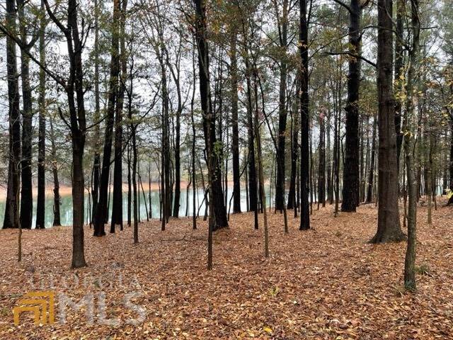 Hartwell, GA 30643,0 Lake Pointe RD #LOT 4