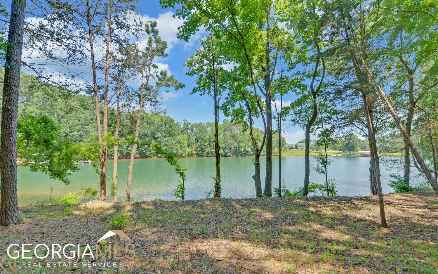 Hartwell, GA 30643,0 Lake Pointe RD #LOT 4