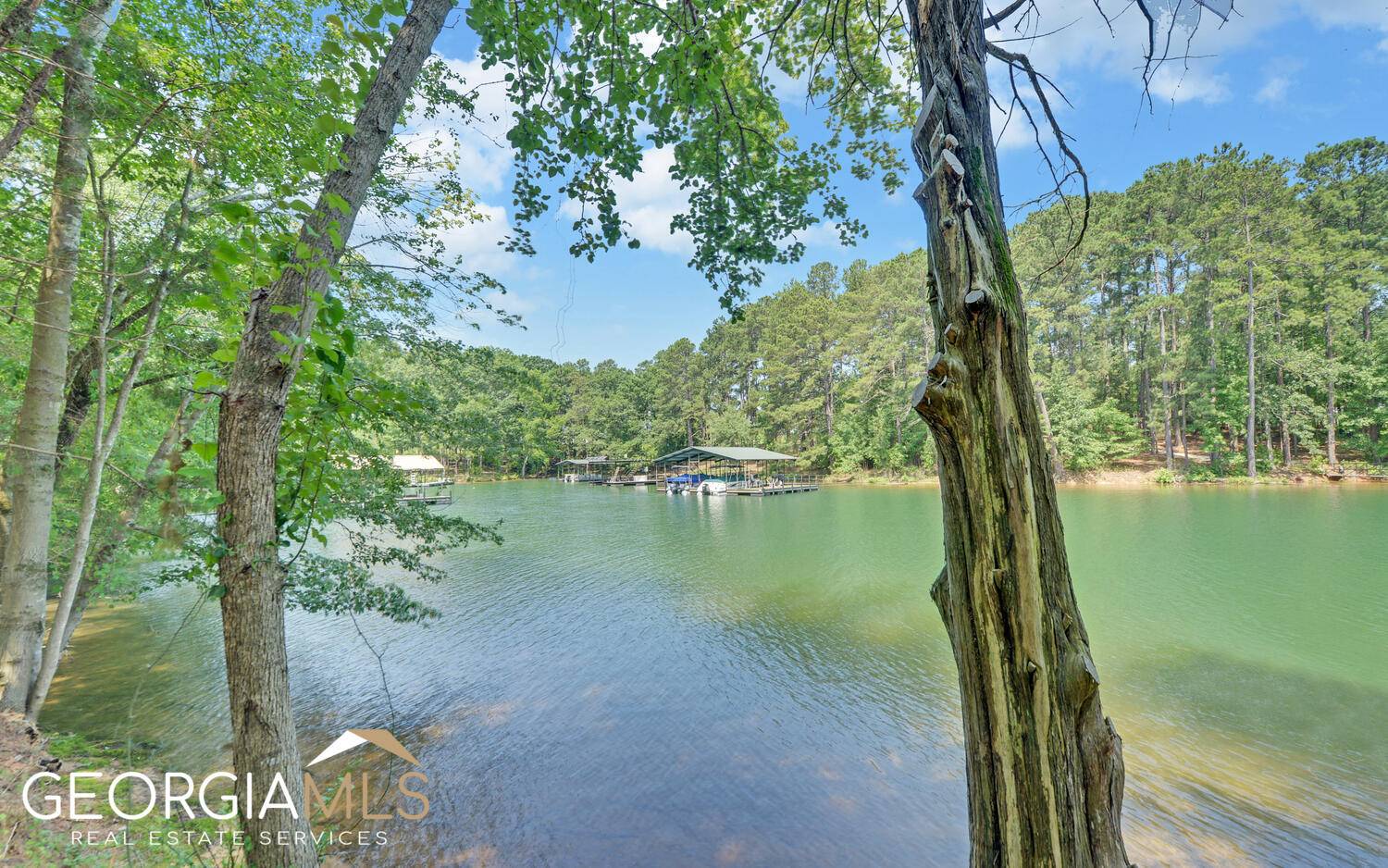 Hartwell, GA 30643,0 Lake Pointe RD #LOT 2