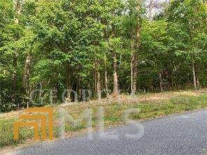 Ball Ground, GA 30107,0 Lot 6 Cokers Chapel Road #6