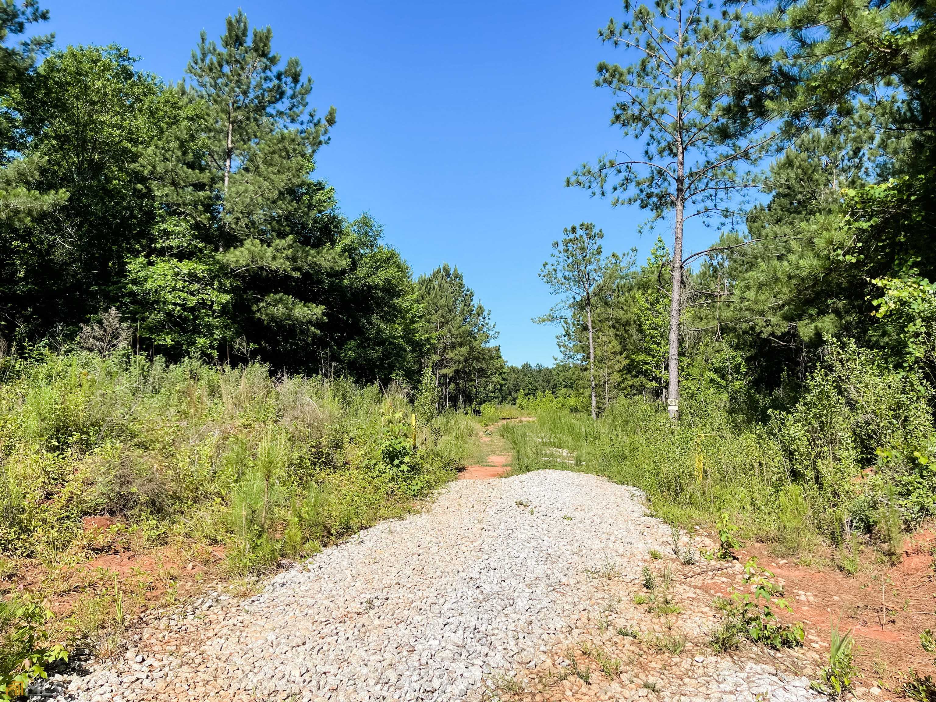 Monticello, GA 31064,18.96 ACRES Jordan RD #TRACT 5A