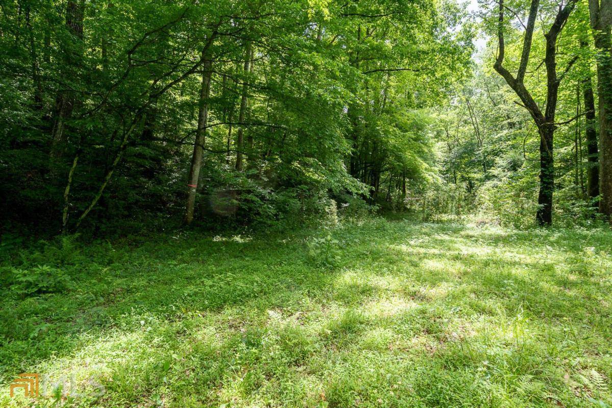 Morganton, GA 30560,LOT 3 Hidden Valley DR