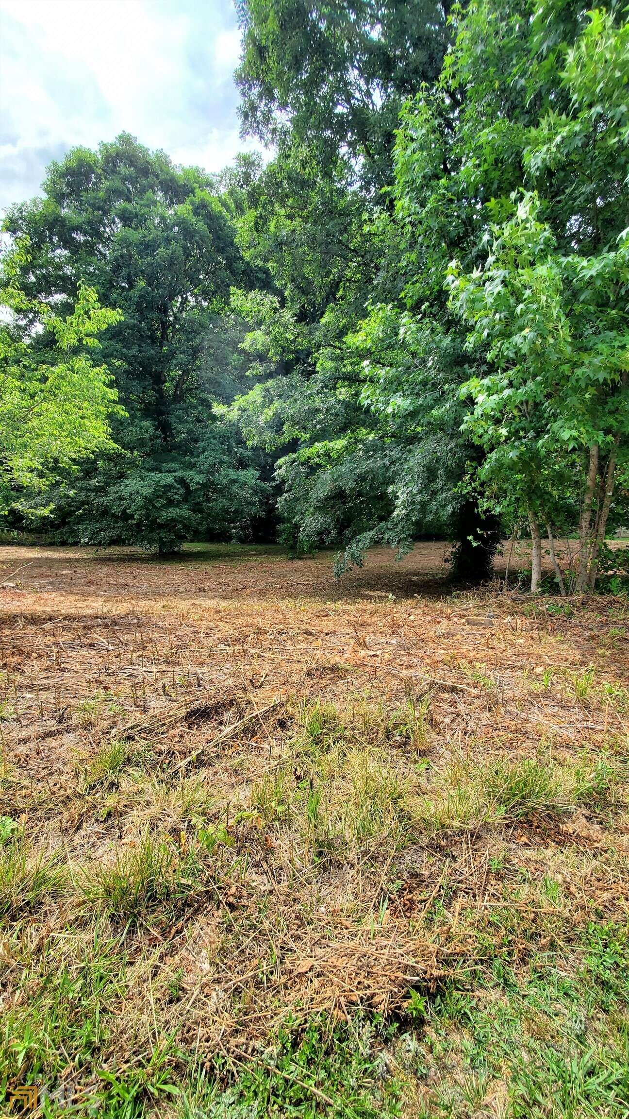 Mount Airy, GA 30563,LOT 10 Stonington DR