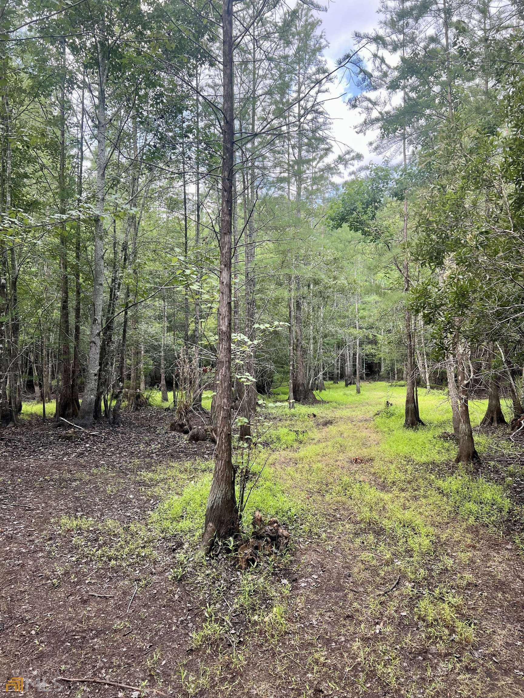 Jesup, GA 31545,147 Cowboy RD #LOT 2