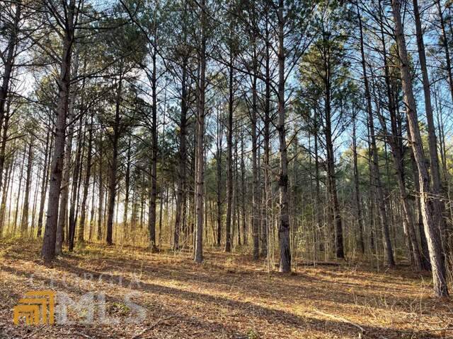 Warm Springs, GA 31830,0 Whitehouse Pkwy #46 ACRES