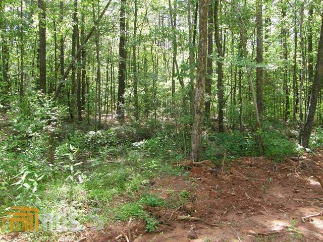 Pine Mountain, GA 31822,0 Lake DR