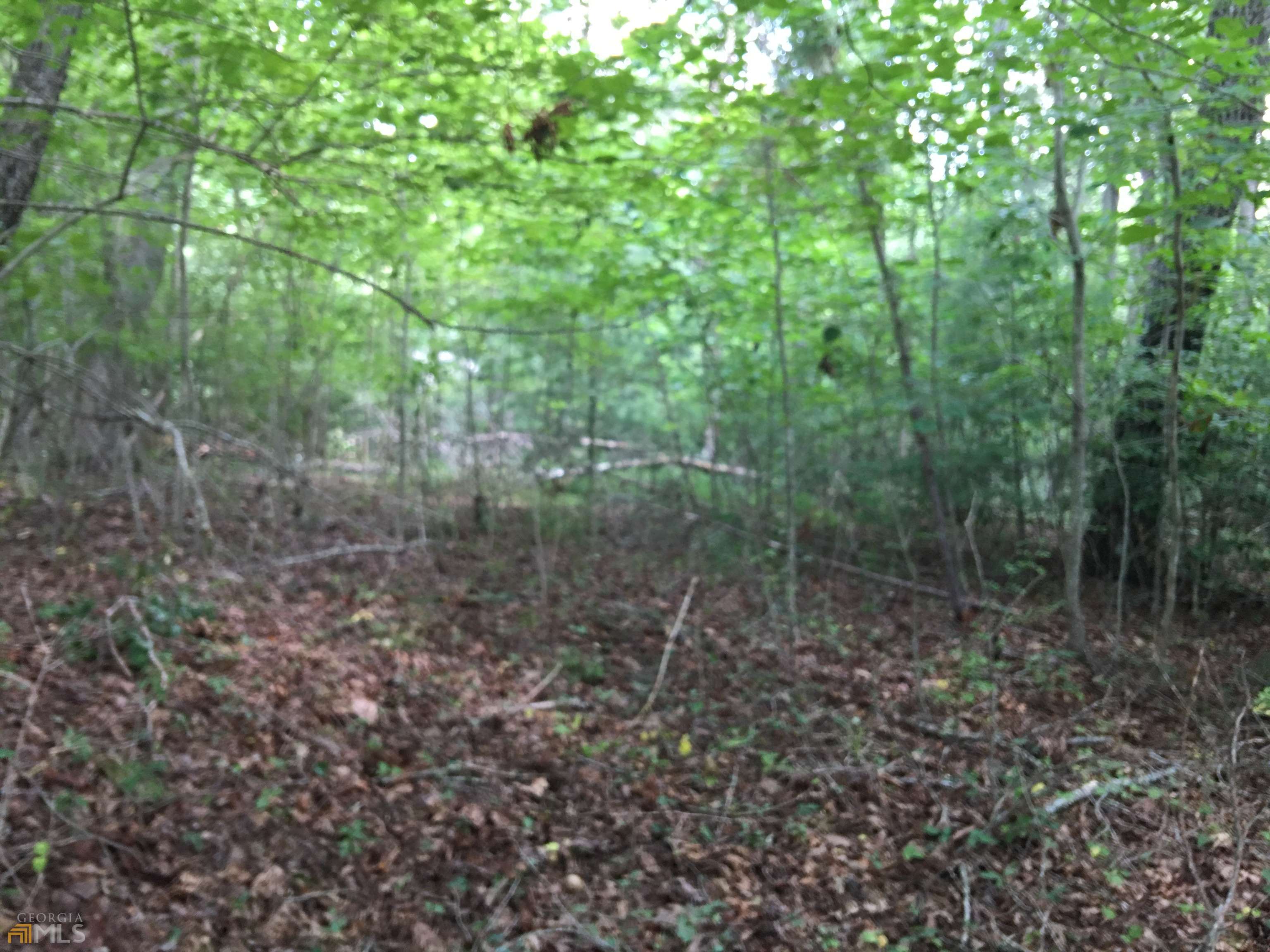 Blairsville, GA 30512,LOT 123 Fox Fields