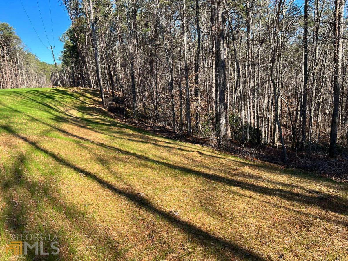 Ball Ground, GA 30107,LOT 7 Mineral Springs RD