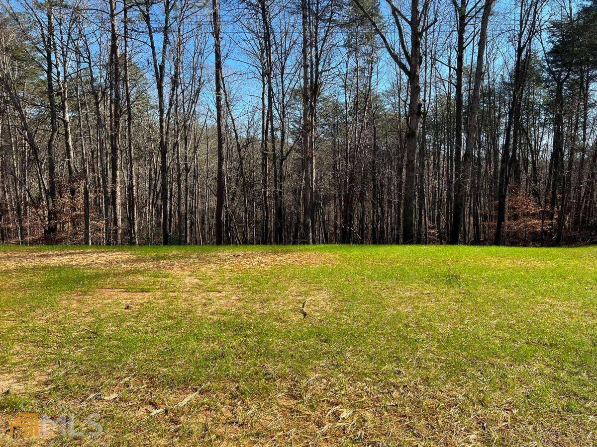 Ball Ground, GA 30107,LOT 7 Mineral Springs RD