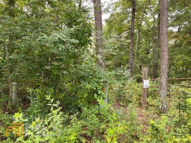 Mineral Bluff, GA 30559,LT 17 Whippoorwill WALK #17