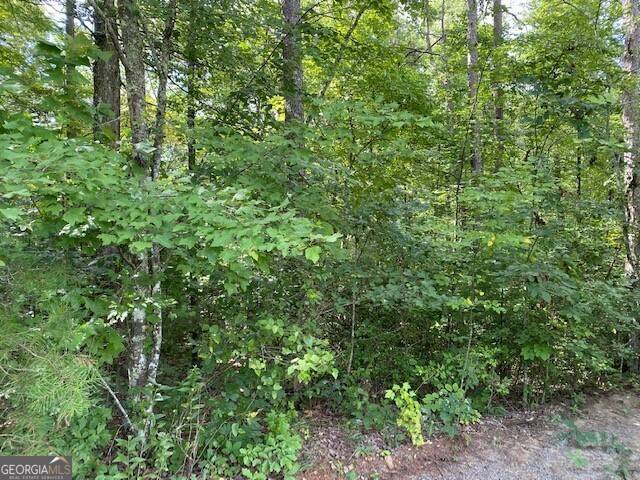 Mineral Bluff, GA 30559,LT19 Whippoorwill #19