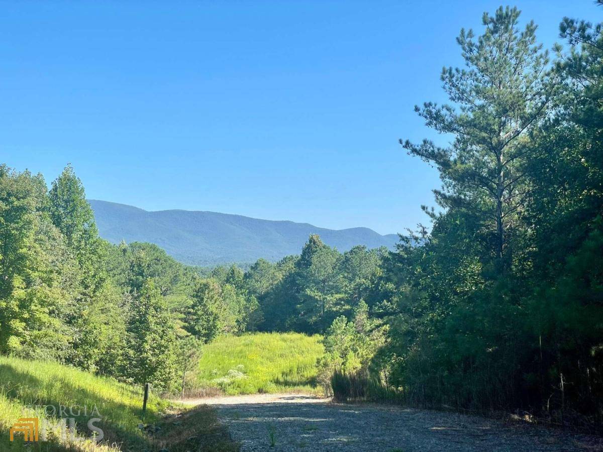 Ellijay, GA 30536,E11 Reece Mountain RD