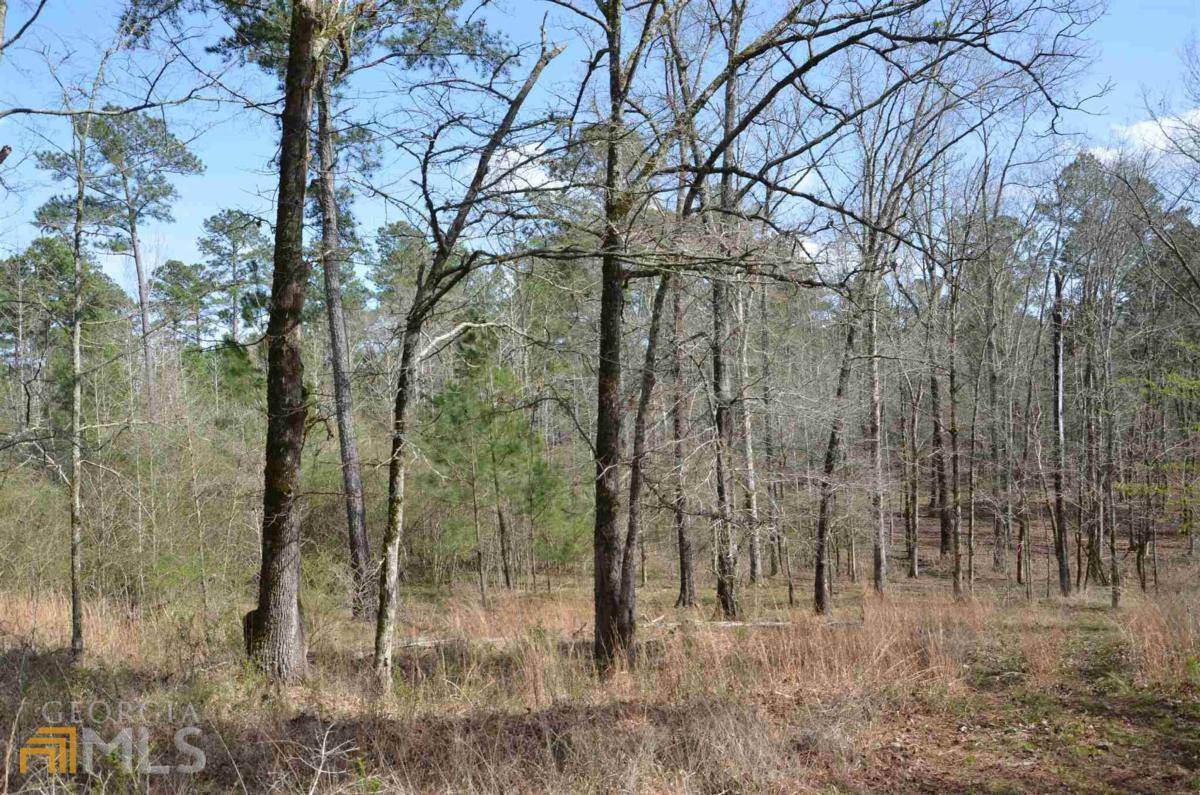 Greensboro, GA 30642,LOT 1 Eagle Way DR