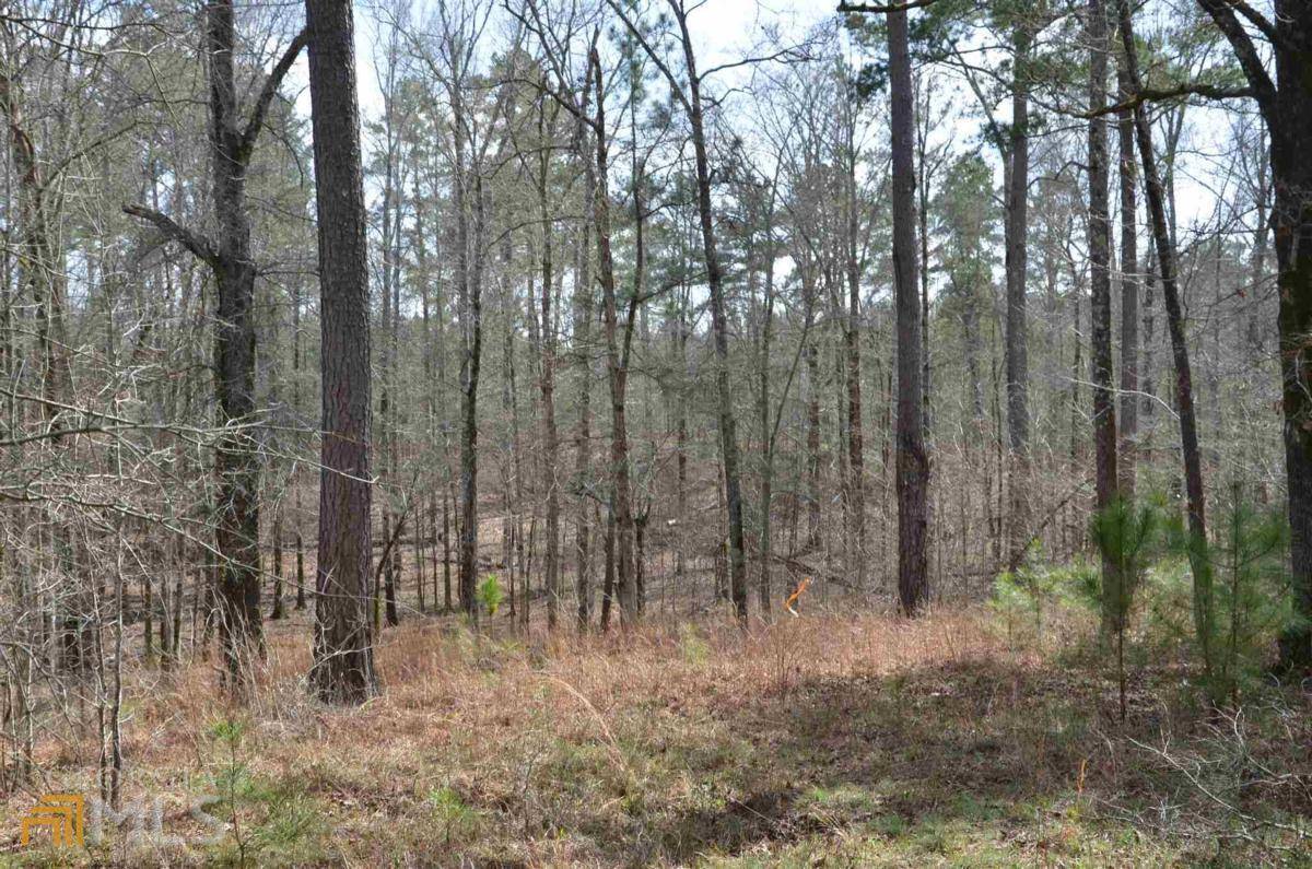 Greensboro, GA 30642,LOT 1 Eagle Way DR