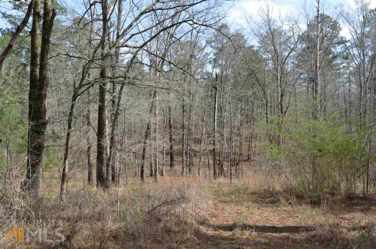 Greensboro, GA 30642,LOT 1 Eagle Way DR