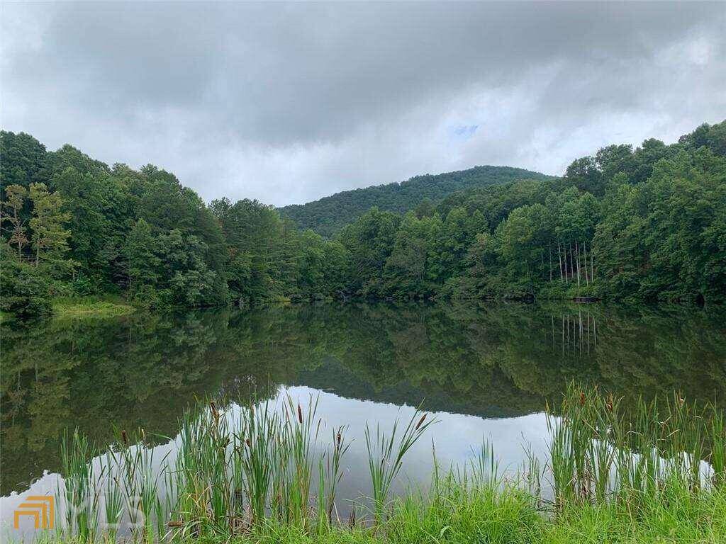 Ellijay, GA 30536,0 Spring Lake DR