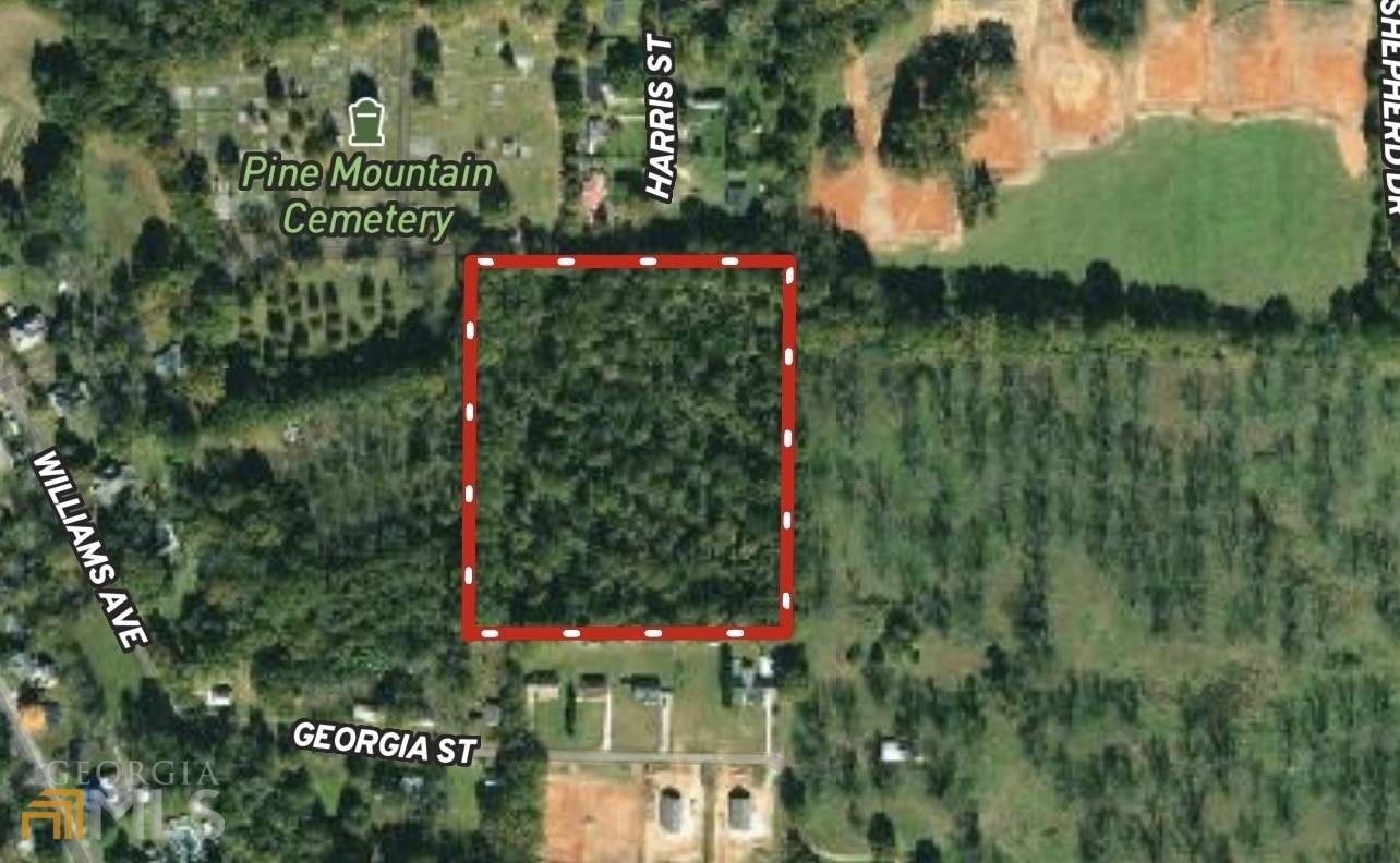 Pine Mountain, GA 31822,0 Harris ST