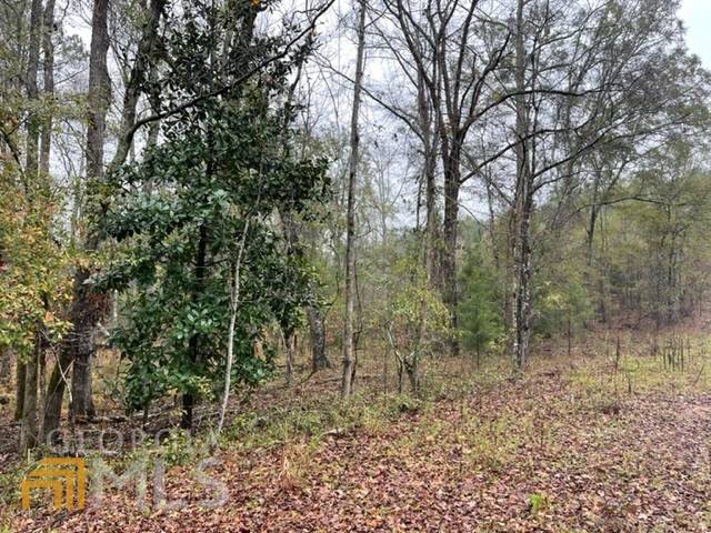 Manchester, GA 31816,0 W Main ST #16.41 ACRES