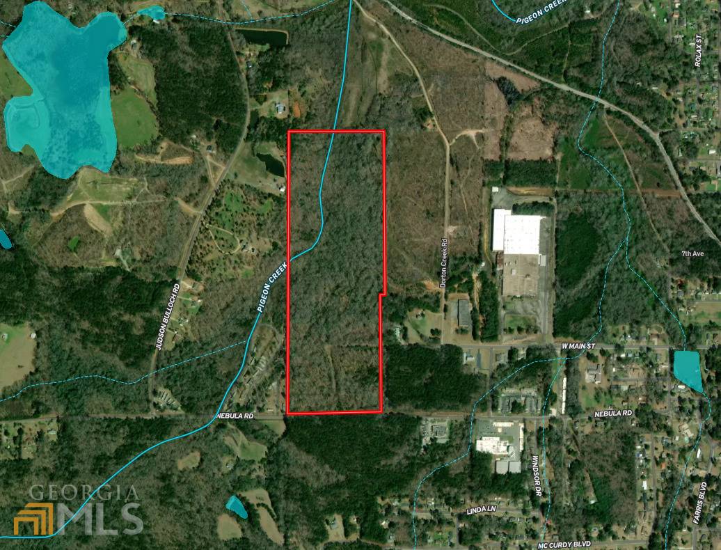 Manchester, GA 31816,0 Nebula RD #55.75 ACRES