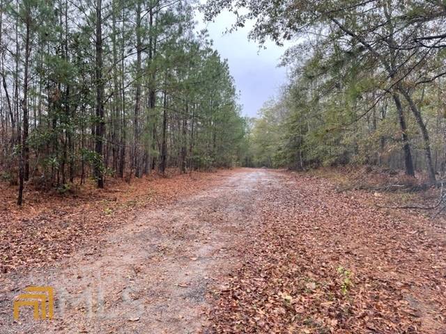 Manchester, GA 31816,0 Nebula RD #55.75 ACRES