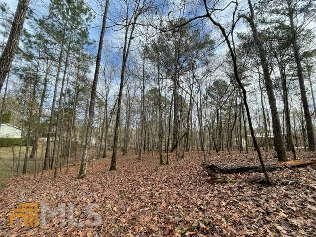 Eatonton, GA 31024,LOT 41 BLOCK B River Lake DR