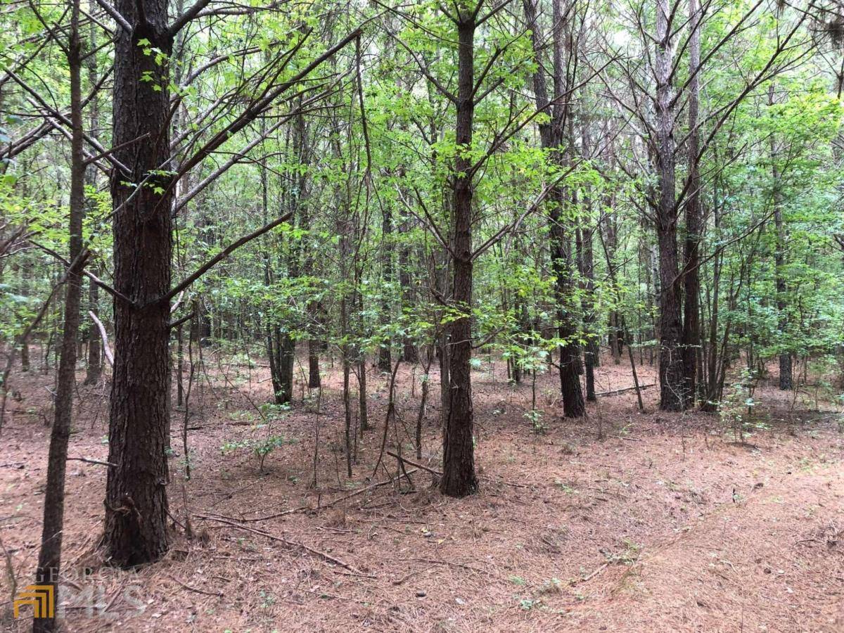 Watkinsville, GA 30677,0 Bell RD #TRACT 5