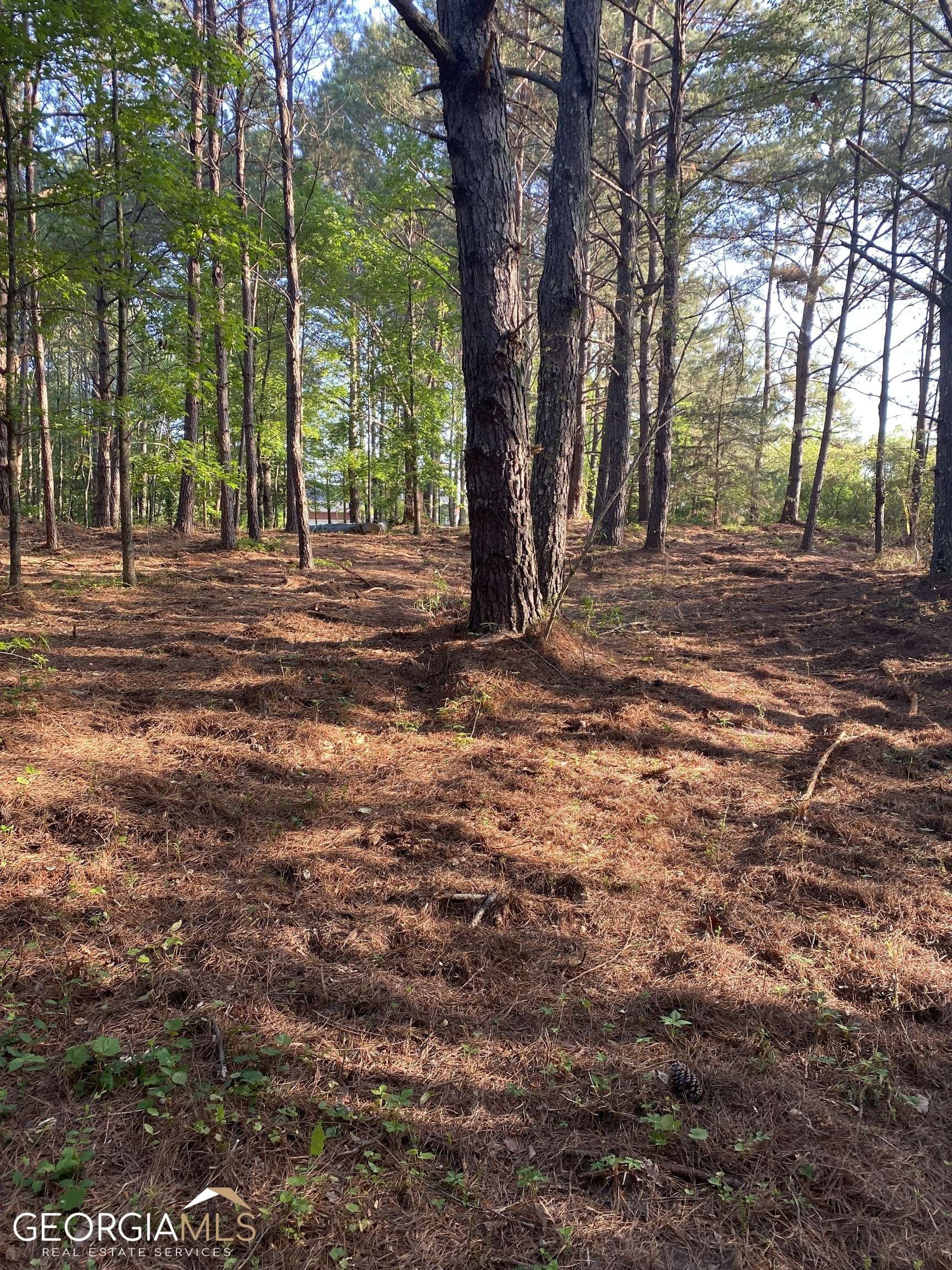 Lagrange, GA 30241,LOT 1 S Smith RD