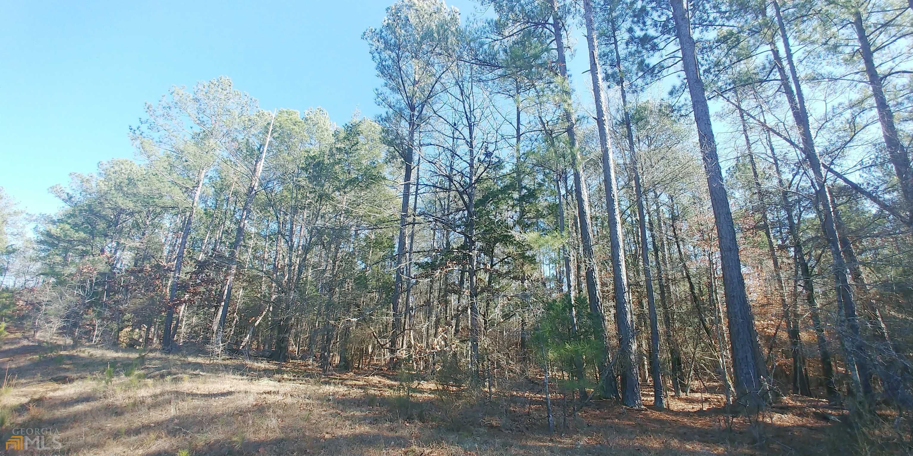 Elberton, GA 30635,8.04AC McGee RD