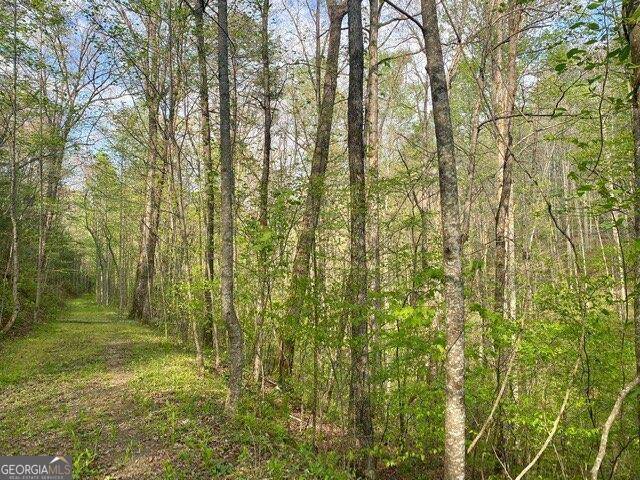 East Ellijay, GA 30540,38+AC Ridgehaven TRL