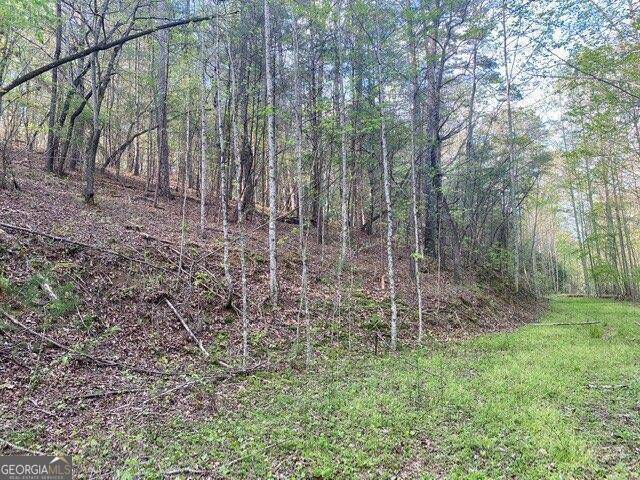 East Ellijay, GA 30540,38+AC Ridgehaven TRL