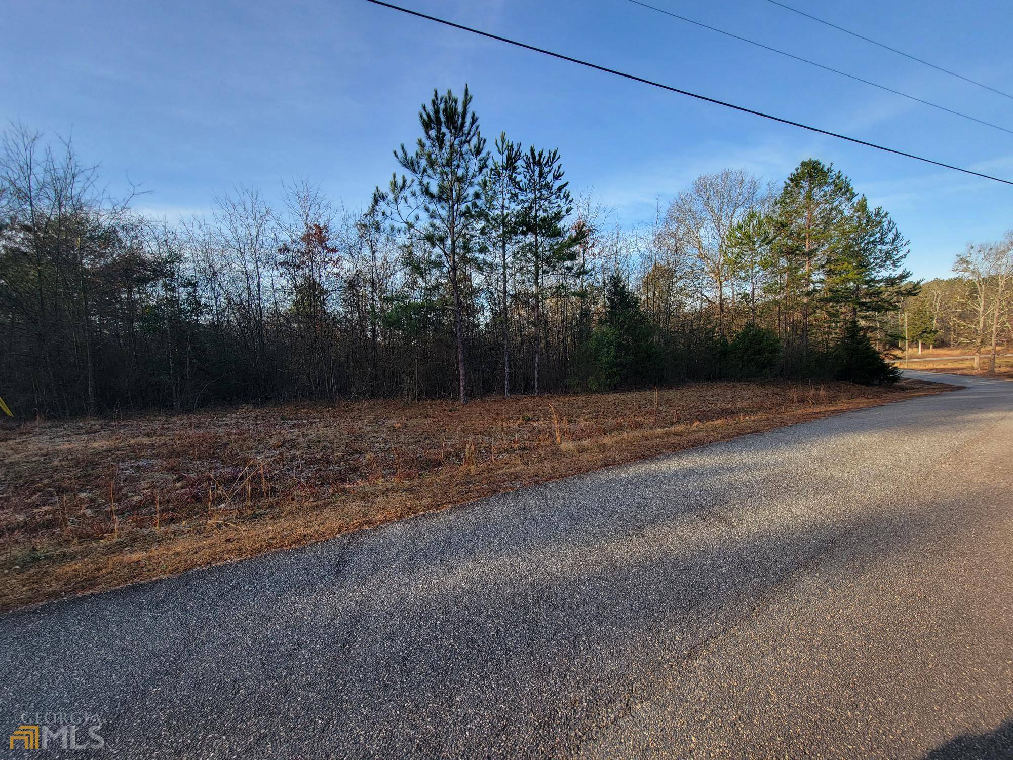 Elberton, GA 30635,LOT 46 Utah DR