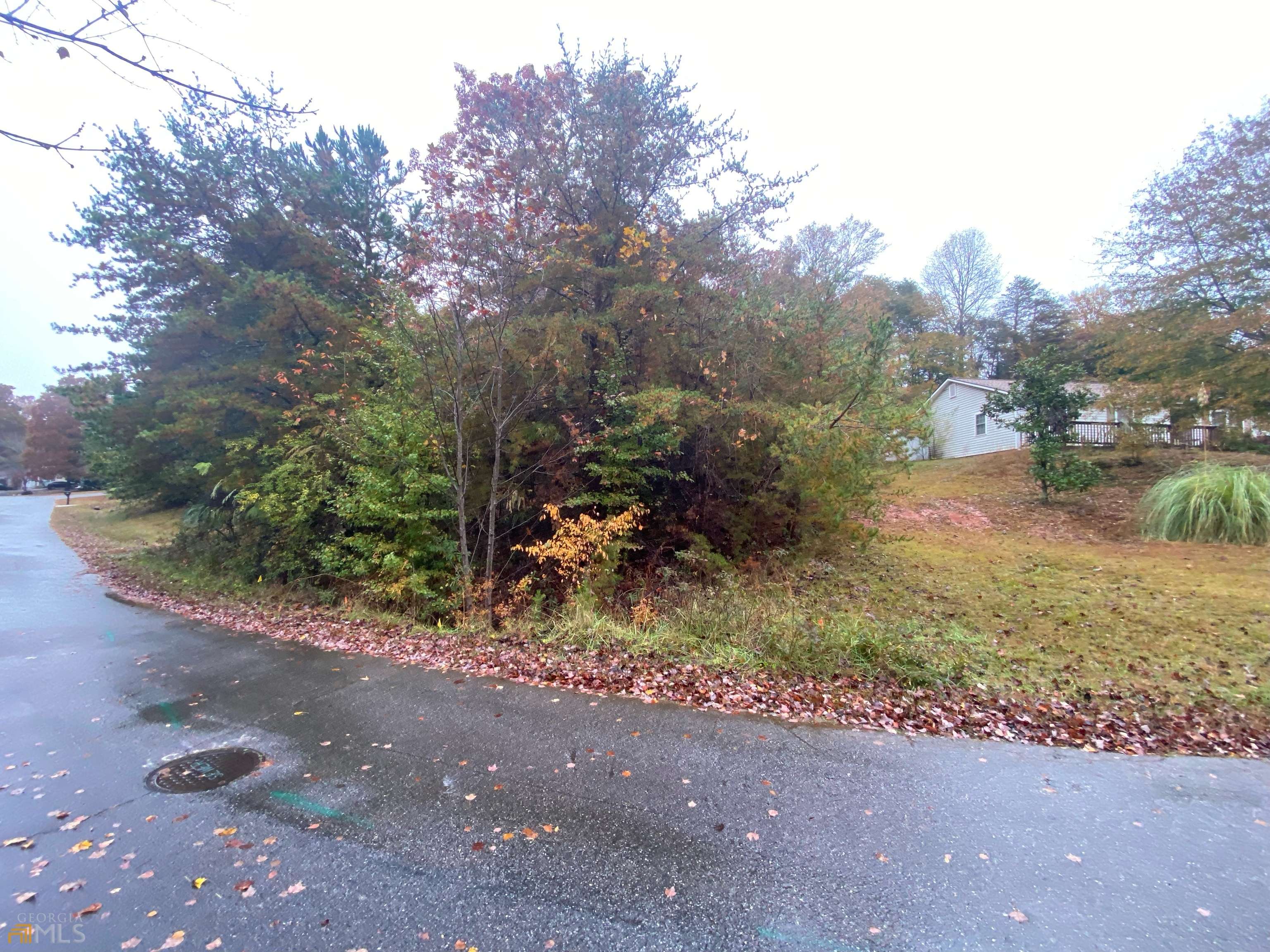 Clarkesville, GA 30523,LOT 25 Carriage Ln