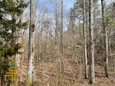 Pine Mountain, GA 31822,0 Leisure Cir