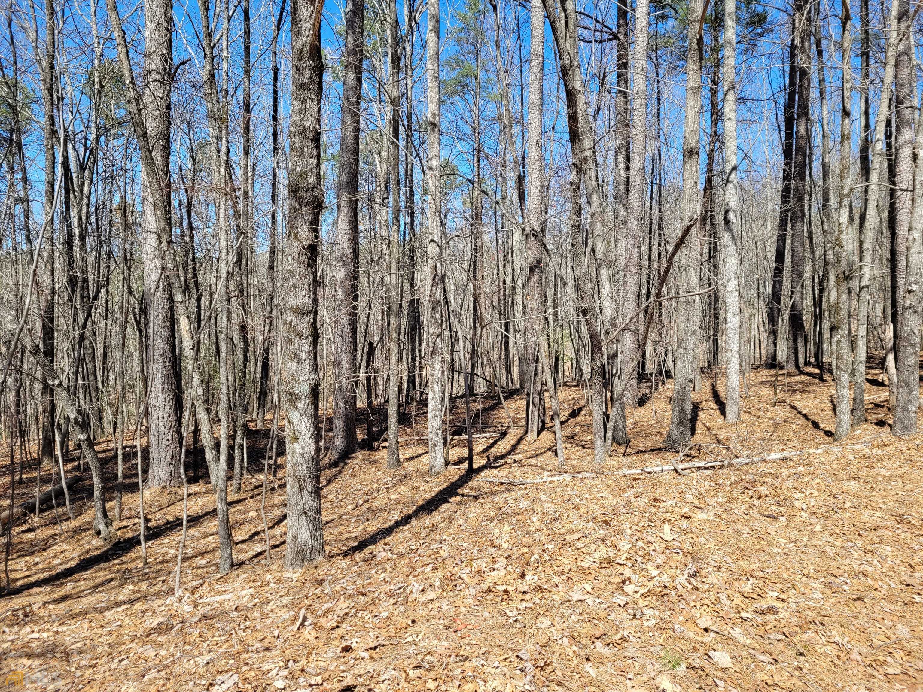 Clarkesville, GA 30523,0 Cherry CT #LOT 738