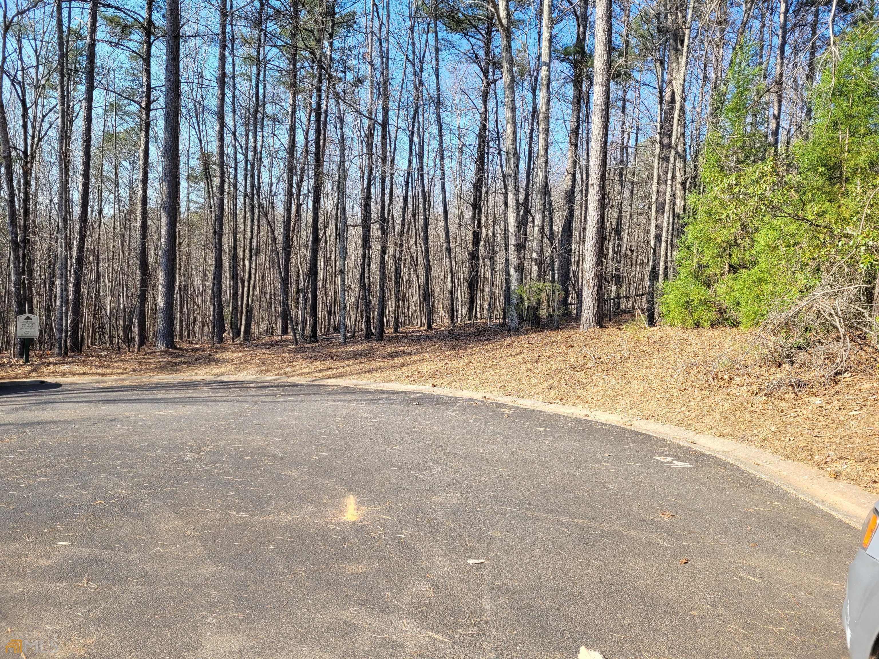 Clarkesville, GA 30523,0 Cherry CT #LOT 738