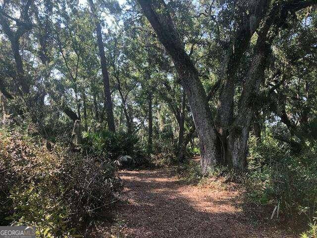 St. Simons, GA 31522,104 Point LN