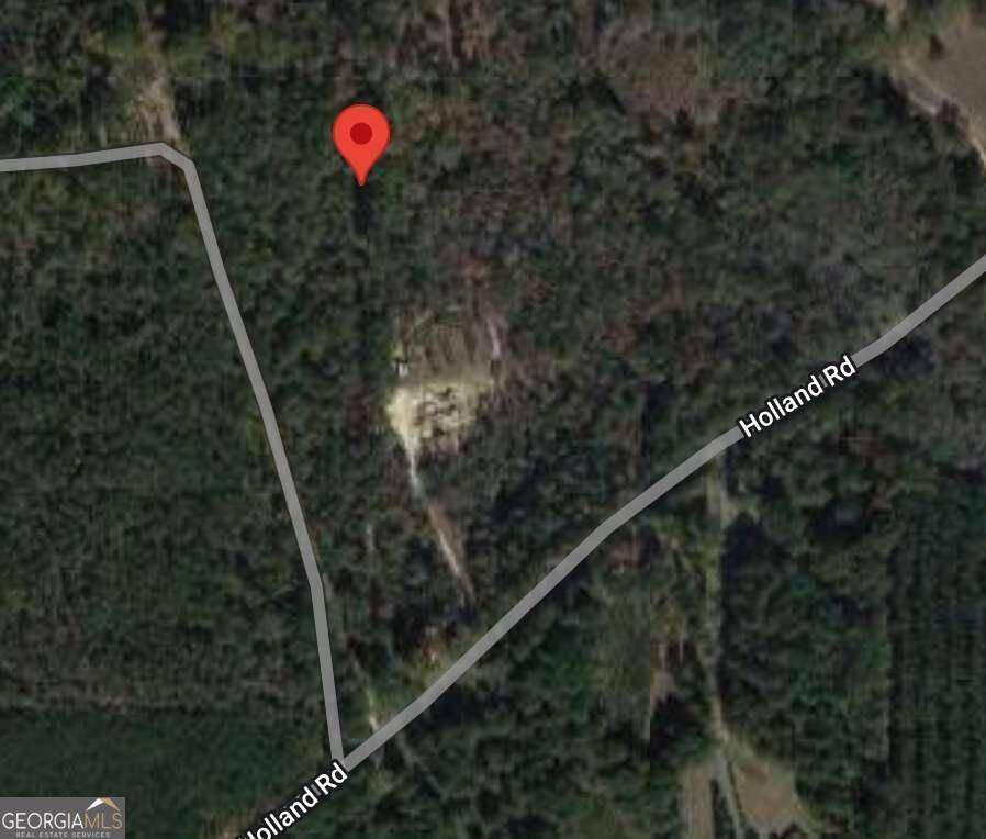 Fort Valley, GA 31030,0 Holland RD #TRACT 7