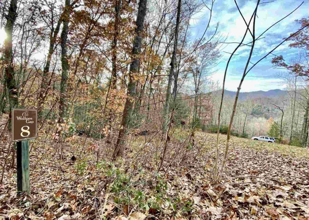 Hiawassee, GA 30546,0 Wolfpen Gap CT #8