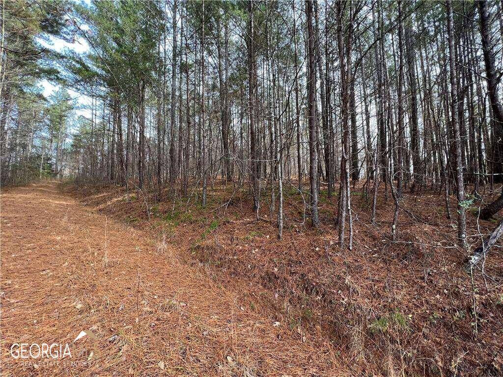 Cleveland, GA 30528,00 High Meadow TRL