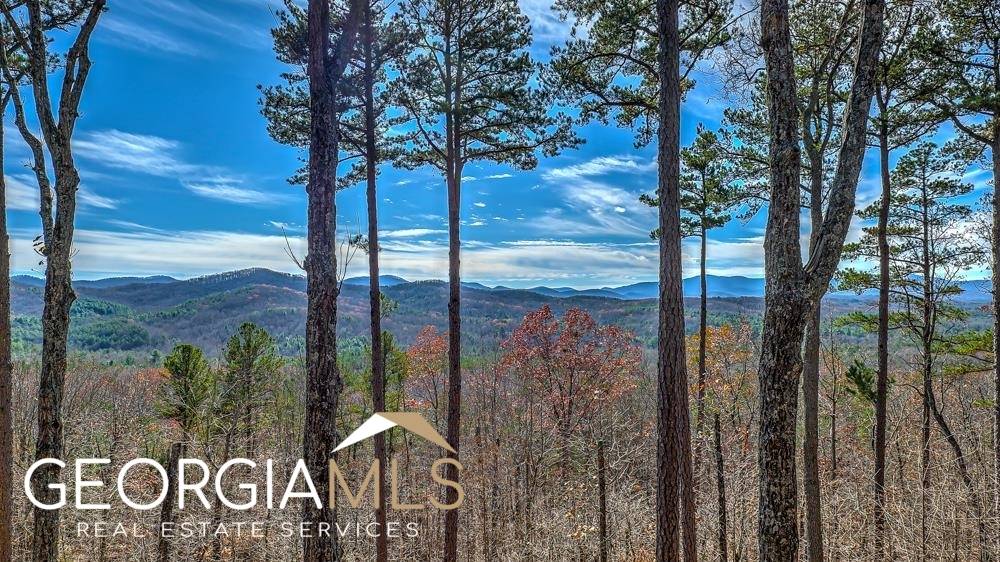 Morganton, GA 30560,244 Oak Ridge WAY