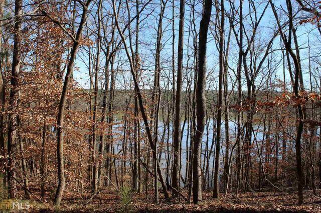 Elberton, GA 30635,LOT 17 Bluff Heights