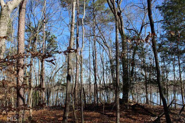 Elberton, GA 30635,LOT 17 Bluff Heights