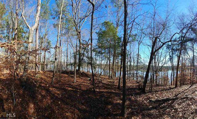 Elberton, GA 30635,LOT 17 Bluff Heights