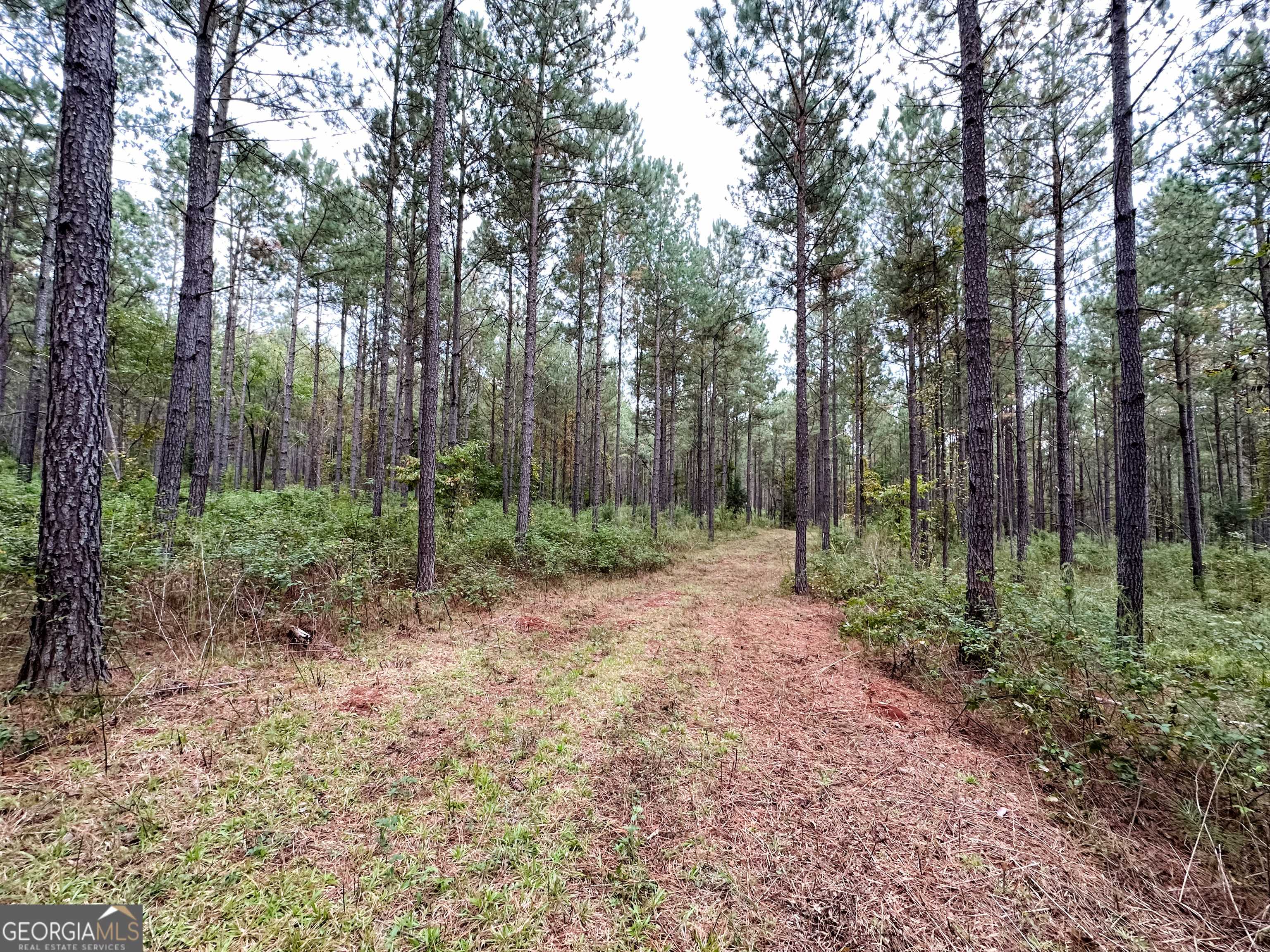 Monticello, GA 31064,LOT 3A Jordan Road #17.92 ACRES