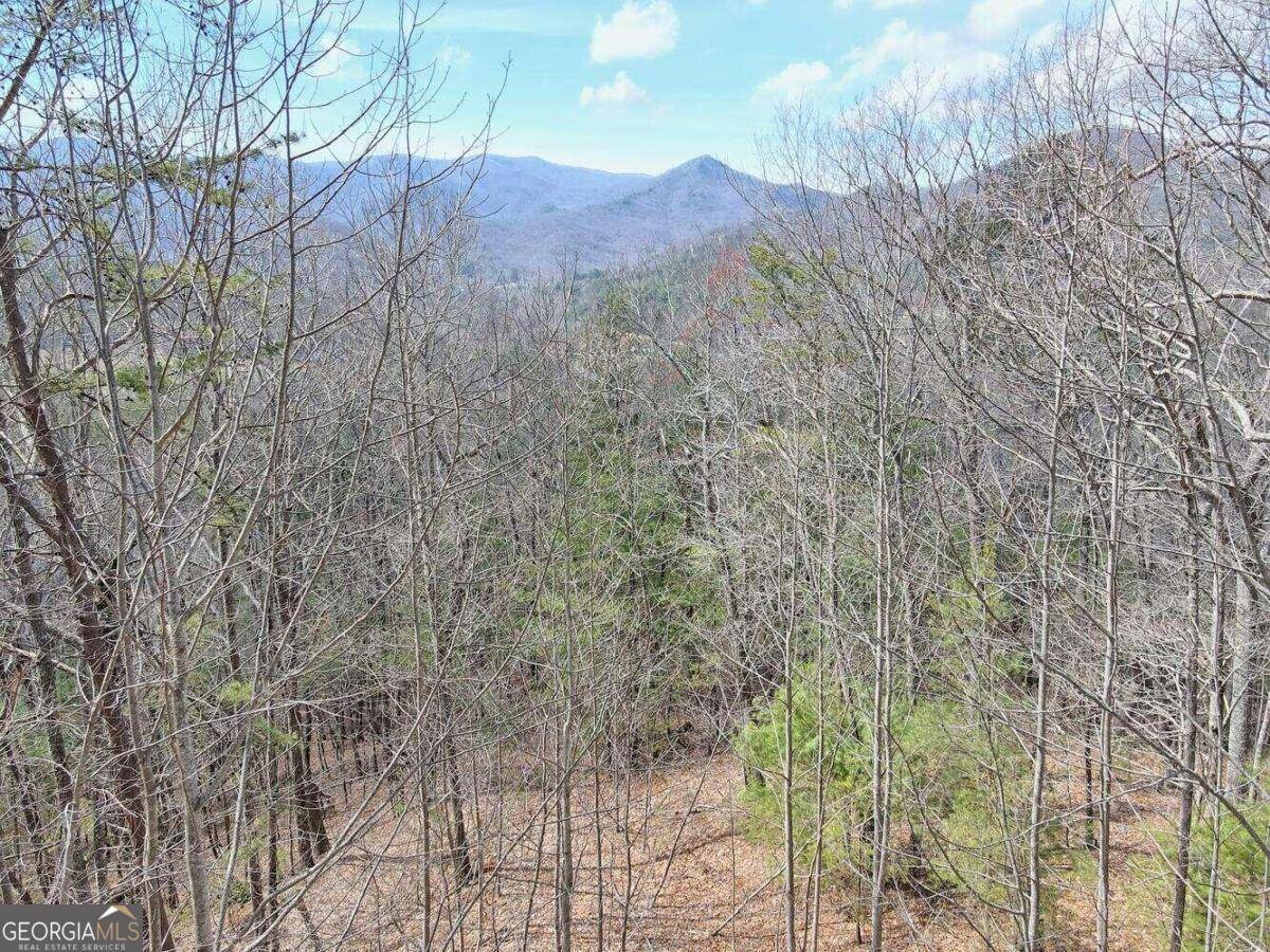 Hiawassee, GA 30546,22&23 Mill RDG