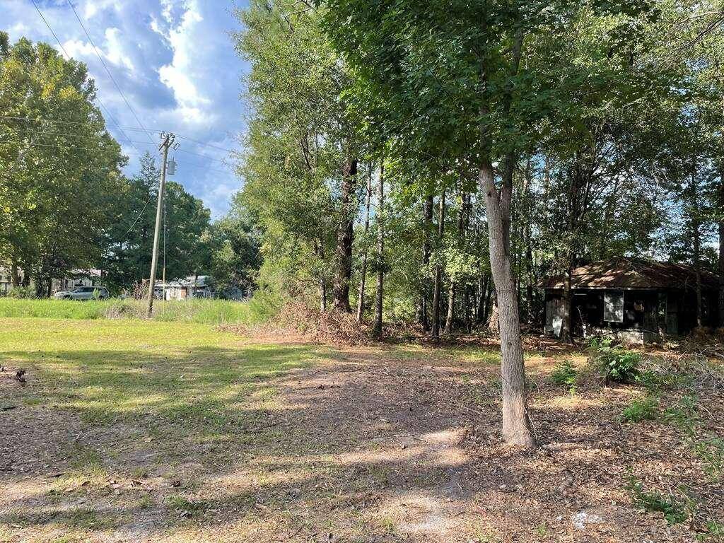 Ludowici, GA 31316,1.16 AC Alma Flournoy RD NE