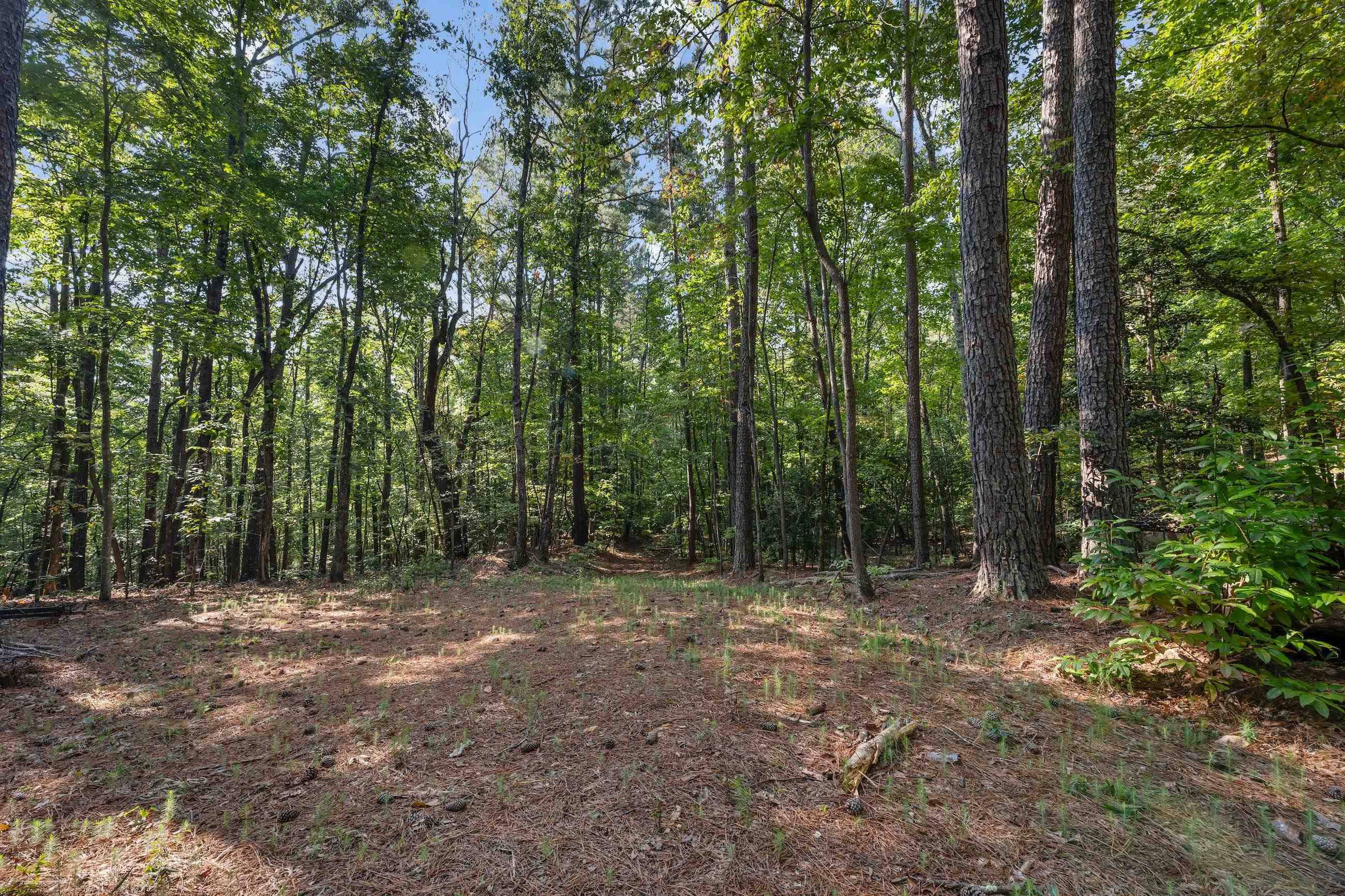 Clarkesville, GA 30523,366 Mossy Creek LN