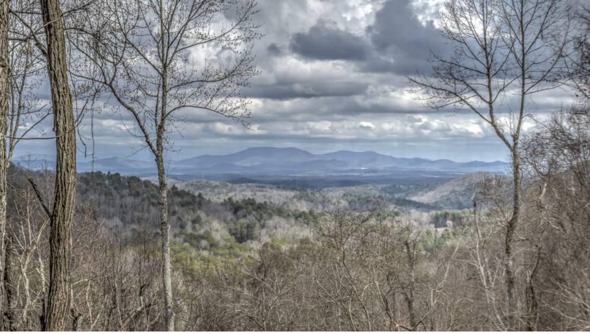 Blue Ridge, GA 30513,401 Dancing Leaves TRL