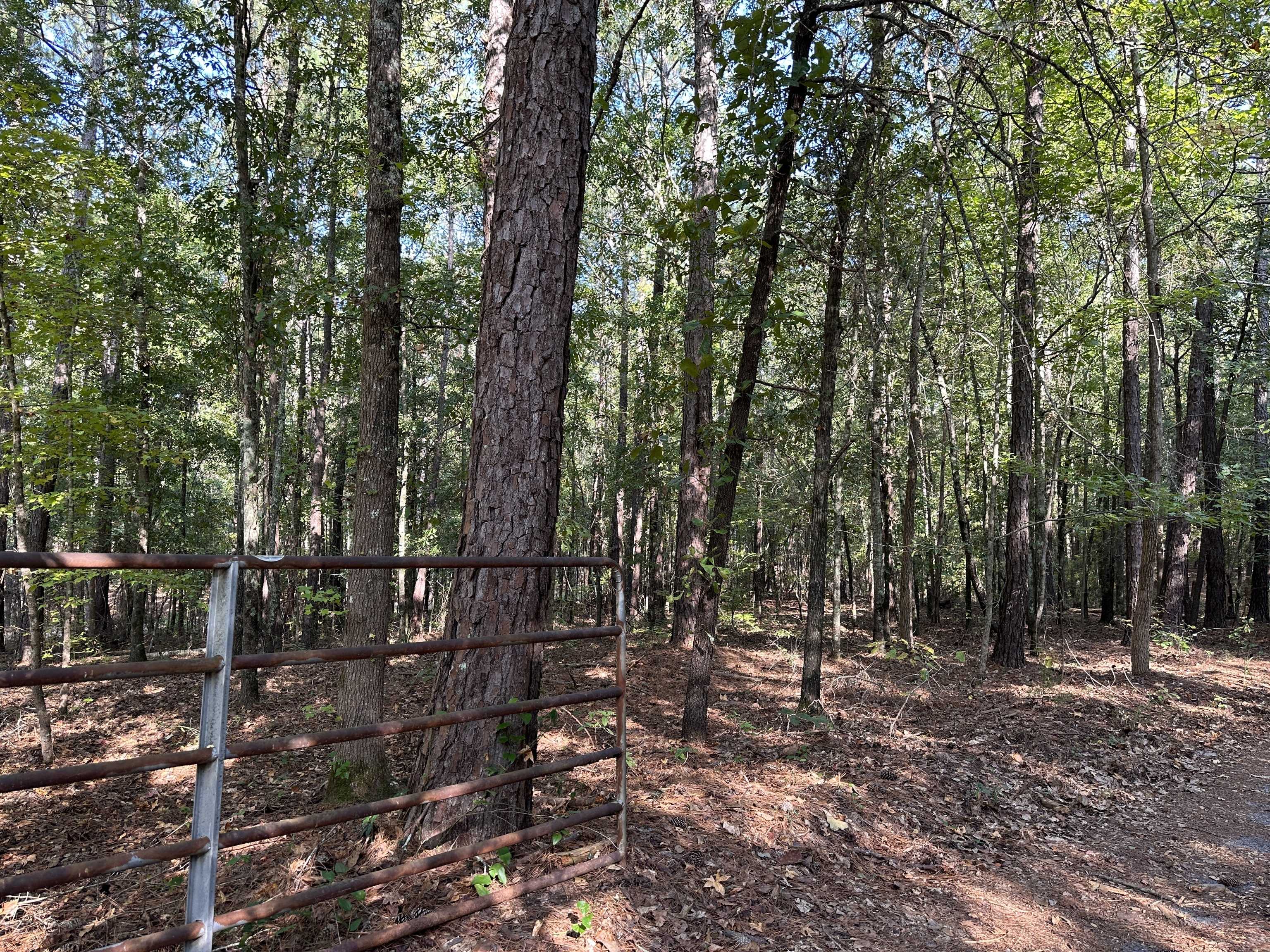 Woodbury, GA 30293,707 Pebblebrook RD #10.26 ACRES